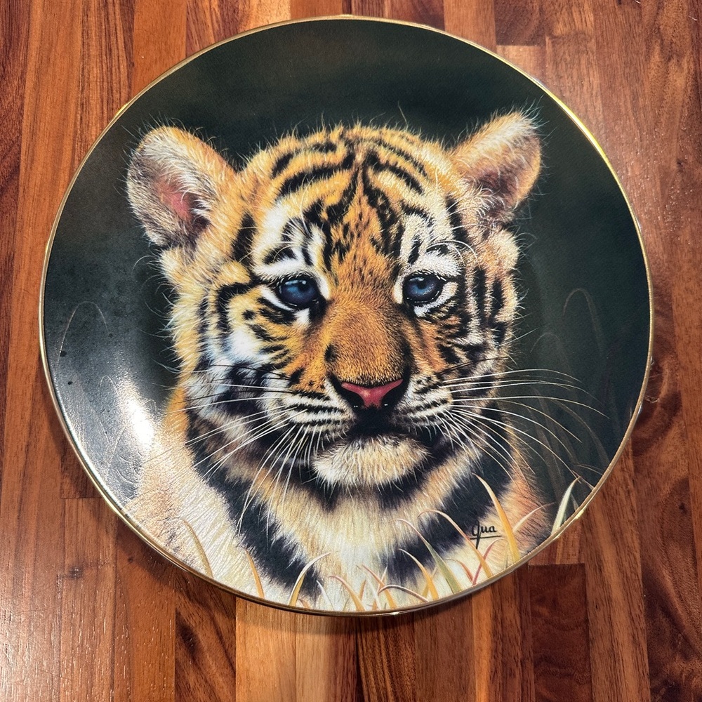 Princeton Gallery tiger cub by qua (1991)